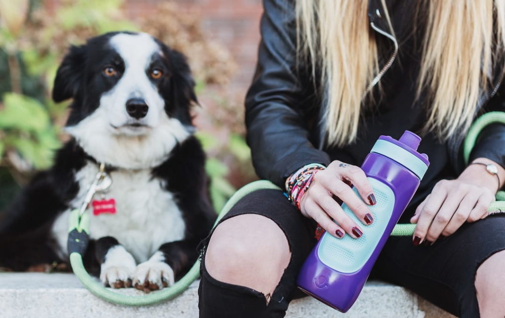 botellas para perros para personalizar