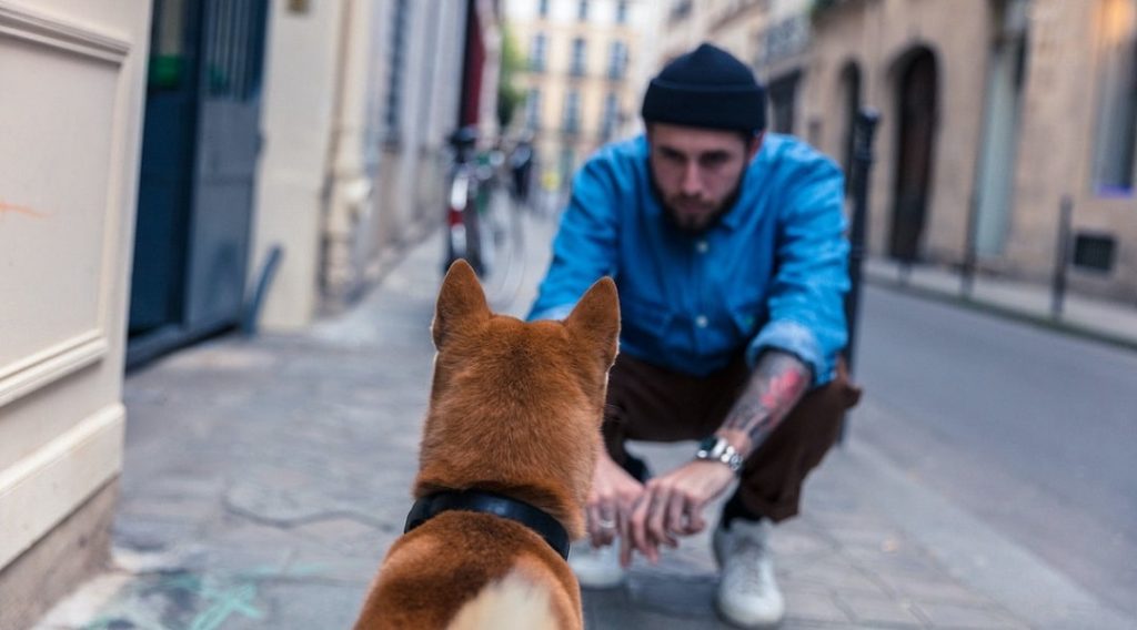 perro con dueño