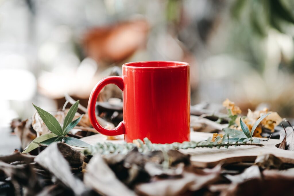 Una taza de color rojo en medio de la naturaleza