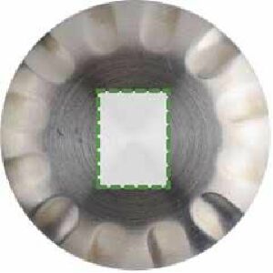 En la tapa
