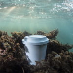 Tazas take away sin BPA compostables de 450ml Takeaway Safe quinta vista