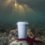 Tazas take away sin BPA compostables de 450ml Takeaway Safe séptima vista
