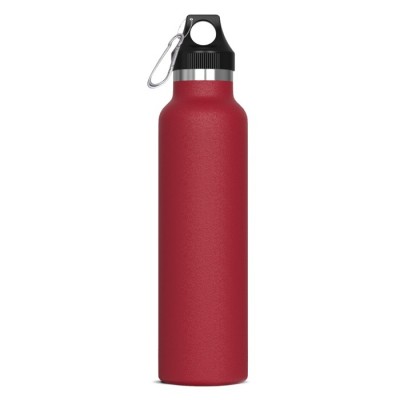 Botellas de acero inoxidable con mosquetón de transporte 650ml